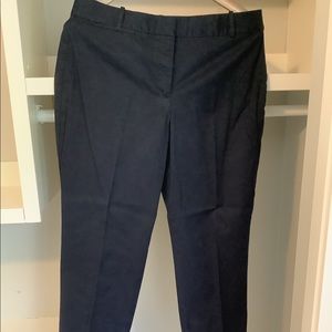 Navy Blue Ankle Length Trousers